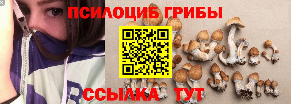 Протвино  Галлюциногенные грибы Cubensis  Галлюциногенные грибы Cubensis  Вход с VPN 